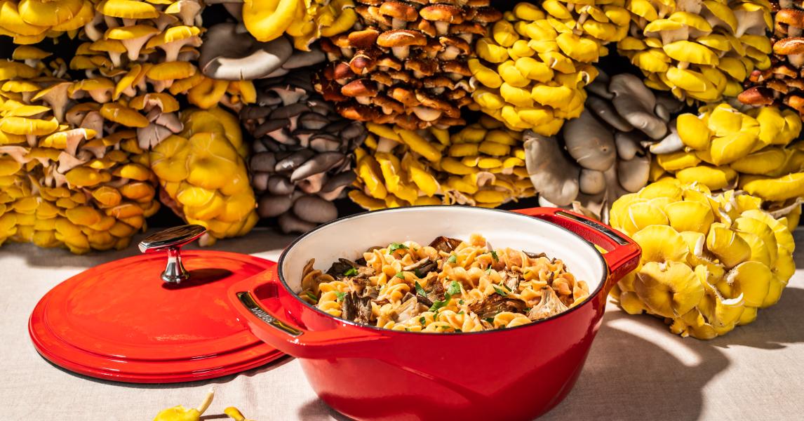 Mushroom Farmer Stroganoff