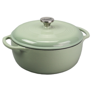 Lodge Cast Iron